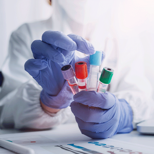 Lab Services Lab Services